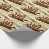 Slijpkogels Cadeaupapier (Hoek)