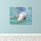 Slijpseeuwen op Kaapverdische canvas Afdruk (Insitu (Houten vloer))