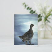 Slijpsnuitje Briefkaart (Staand voorkant)