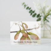 Slijpzaadkorrels, gevlekt briefkaart (Staand voorkant)