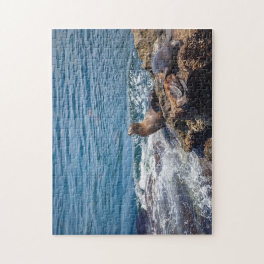 Slijtsteen bij La Jolla Beach in San Diego Legpuzzel (Verticaal)