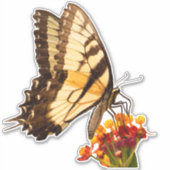 Slik staartvlinder op een zijdebloem sticker (Voorkant)