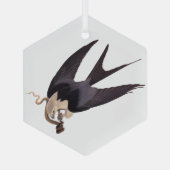Slik Tailed Hawk door met Snake  Audubon Glas Ornament (Achterkant)