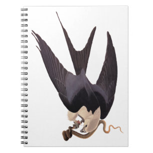 Slik Tailed Hawk door met Snake Audubon Notitieboek