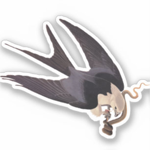 Slik Tailed Hawk door met Snake  Audubon Sticker