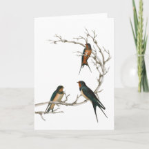 Slik vogels door op een bakafdeling