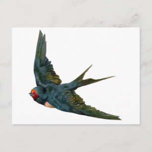slikken briefkaart