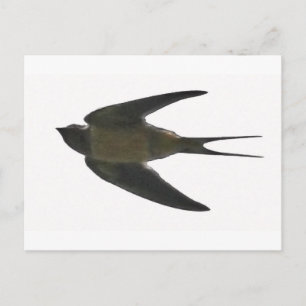 slikken briefkaart