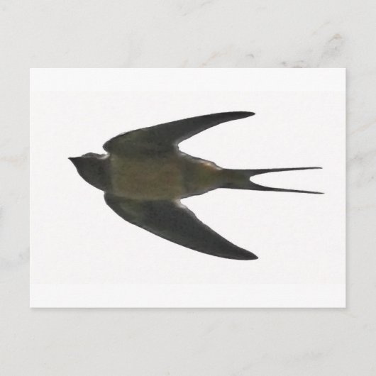 slikken briefkaart (Voorkant)