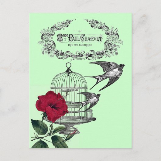 Slikken in de vliegencollage briefkaart (Voorkant)