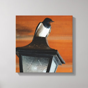 Slikken op een Lamp Foto Single Print Canvas