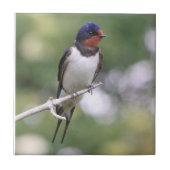 Sliktegel Tegeltje (Voorkant)