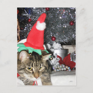 Slim Kat Elf & de Tinsel Tree Feestdagenkaart