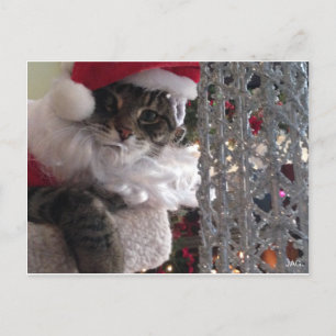 Slim Kat Santa en de glitterboom Feestdagenkaart