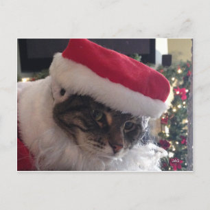 Slim Kat Santa Kaart