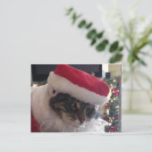 Slim Kat Santa Kaart (Staand voorkant)