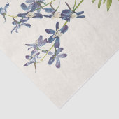 Slim Larkspur van Mary Vaux Walcott Tissuepapier (Detail)