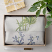 Slim Larkspur van Mary Vaux Walcott Tissuepapier (Geschenk)