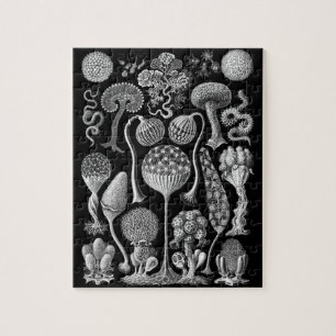 Slime vormen in zwart-wit legpuzzel