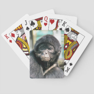 SLINGERAPEN POKERKAARTEN