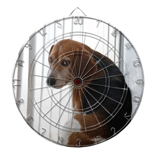 slingerhouding dartbord (Voorkant)