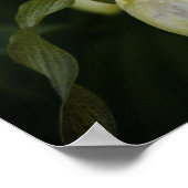 Slip jaune 2 impressions (Coin)