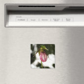 Slipper de dame #8299 Magnet (In Situ (Lave-vaisselle))