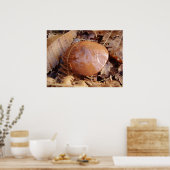 Slippery Jack Mushroom Poster (Keuken)