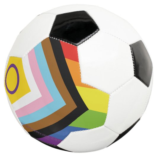 SlipperyJoe Intersex Progrès Fierté Drapeau arc-en (3/4)