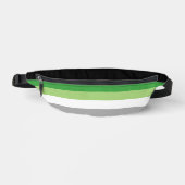 SlipperyJoe's Aromantic Pride Drapeau gay cadeaux (Recto)