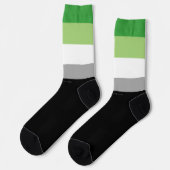 SlipperyJoe's Aromantische Pride Vlag homoseksuele Sokken (Links)