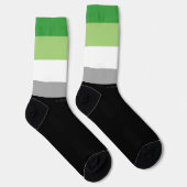 SlipperyJoe's Aromantische Pride Vlag homoseksuele Sokken (Rechts)