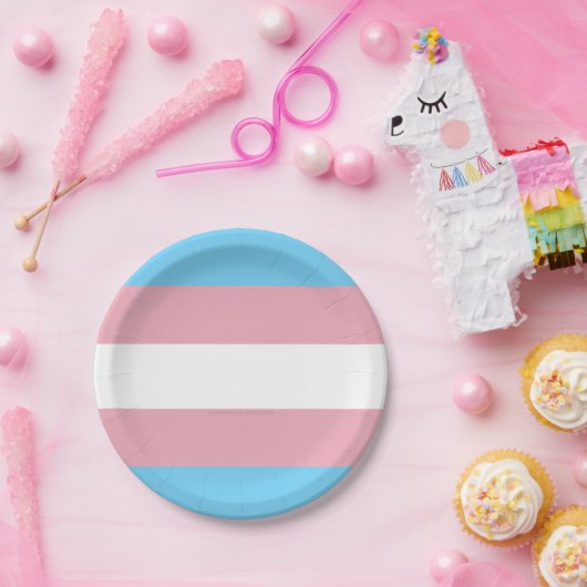 SlipperyJoe's driesporenpride vlag diversiteitspro Papieren Bordje (Feest)