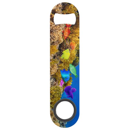 SlipperyJoe's Fish Pride tropicale vert bleu pourp (Devant)