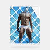 SlipperyJoe's Man ondergoed 6-pak borstkas mannetj Acryl Bord (Voorkant)