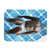 SlipperyJoe's Man ondergoed 6-pak borstkas mannetj Magneet (Horizontaal)