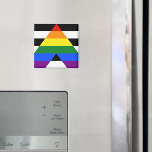 SlipperyJoe's rechte bondgenoot vlag effen regenbo Magneet