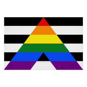SlipperyJoe's rechte bondgenoot vlag effen regenbo Perfect Poster