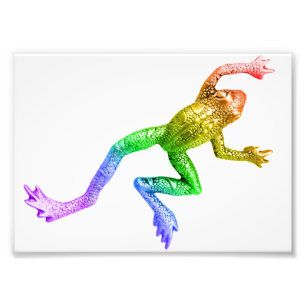 SlipperyJoe's regenboogkleurige kikker weergegeven Foto Afdruk
