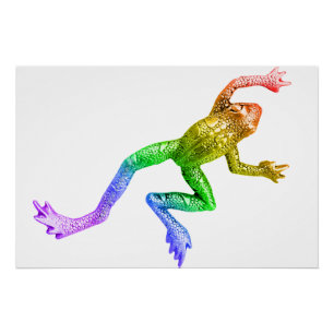SlipperyJoe's regenboogkleurige kikker weergegeven Perfect Poster