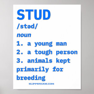 Slipperyjoes Stud Definitie Dieren Woordenboek B Poster