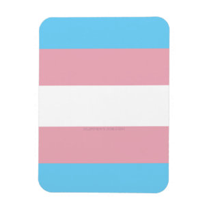 SlipperyJoe's transgender trotsdiversiteit vlag ri Magneet