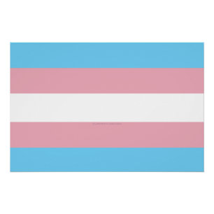 SlipperyJoe's transgender trotskleurvlag zichtbaar Perfect Poster