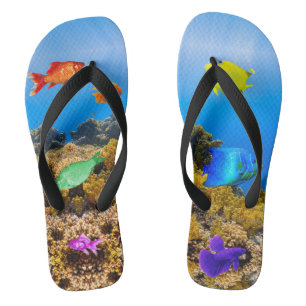 SlipperyJoe's tropische groene blauwpil Teenslippers