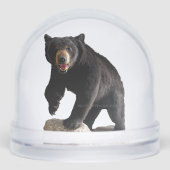 SlipperyJoe's zwarte beer dikke donkerbont majestu Sneeuwbol (Voorkant)
