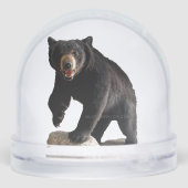 SlipperyJoe's zwarte beer dikke donkerbont majestu Sneeuwbol (Achterkant)