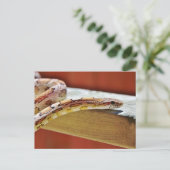Slithering Red Corn Snake Briefkaart (Staand voorkant)