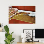 Slithering Red Corn Snake Poster (Thuiskantoor)