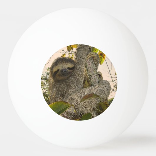 sloep pingpongballen (Voorkant)