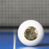 sloep pingpongballen (Net)